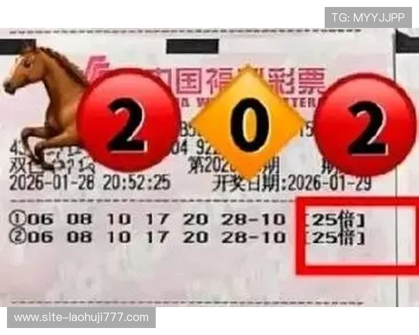 乐透角子机官网用户评价与真实体验分享,助你理性投注